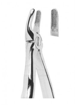 Extracting Forceps